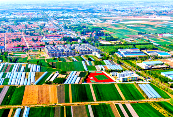 村镇企业的特点和优势