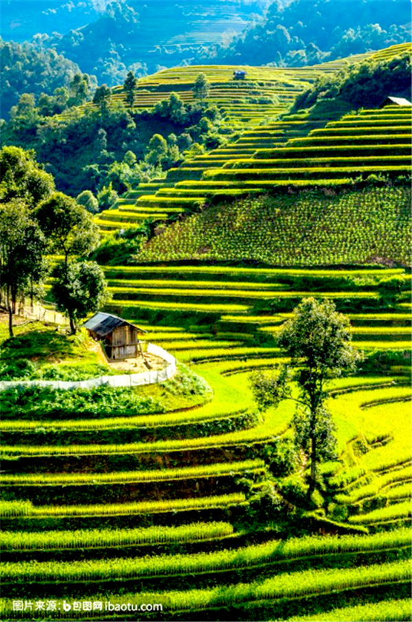 特色村庄有那些特色