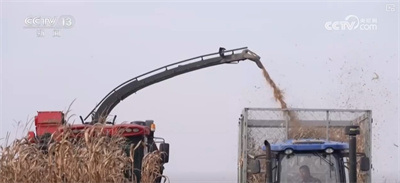 构建现代饲草产业 做好饲料“文章” 更好保障国家粮食安全与重要农产品供给