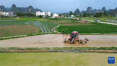   立夏农事忙【3】