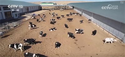 构建现代饲草产业 做好饲料“文章” 更好保障国家粮食安全与重要农产品供给