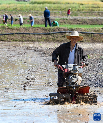 立夏农事忙【9】