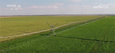 构建现代饲草产业 做好饲料“文章” 更好保障国家粮食安全与重要农产品供给