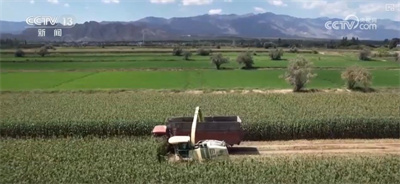 构建现代饲草产业 做好饲料“文章” 更好保障国家粮食安全与重要农产品供给