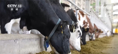 构建现代饲草产业 做好饲料“文章” 更好保障国家粮食安全与重要农产品供给