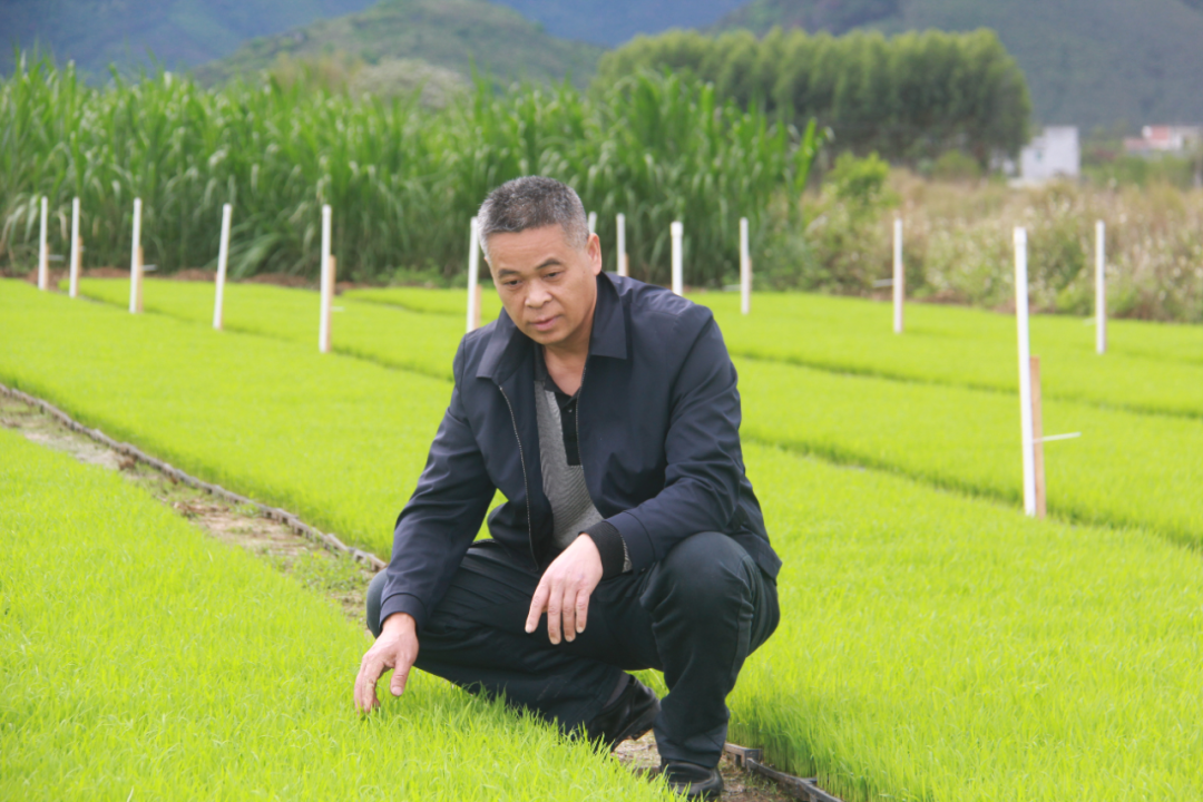 潘杰：从“小潘”到“老潘” 躬身田野兴“三农”
