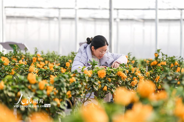 PHOTFDZ1VL2ECVAOSeDsUZv2260112_1000x2000