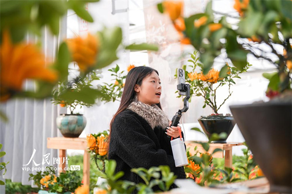 PHOTpcs33GyTLRC4TooNp8GU260112_1000x2000