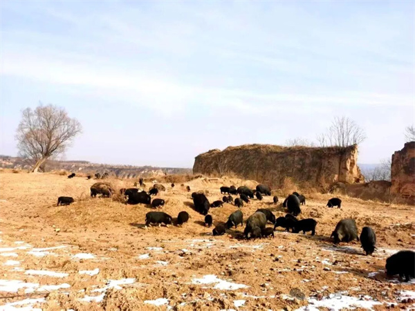 20260127102006442-27-af663