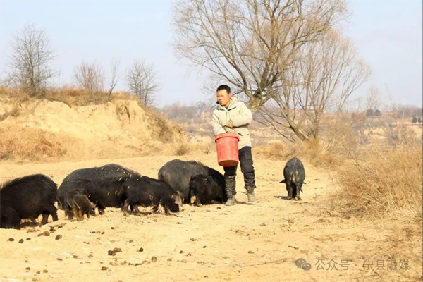 20260127102006556-74-dc88d