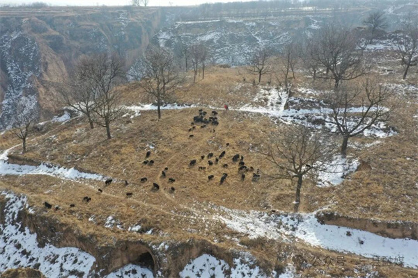 20260127102006626-59-88847