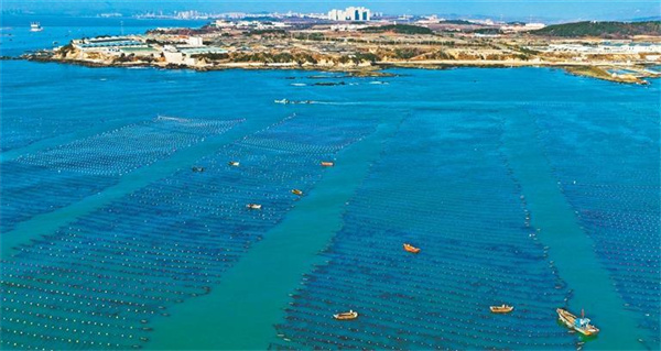 W020260130336988892320_ORIGIN