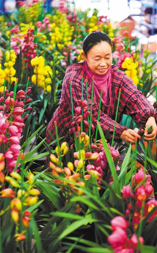 W020260130336989021185_ORIGIN