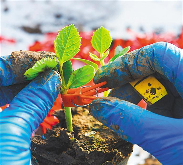 W020260130336989271095_ORIGIN