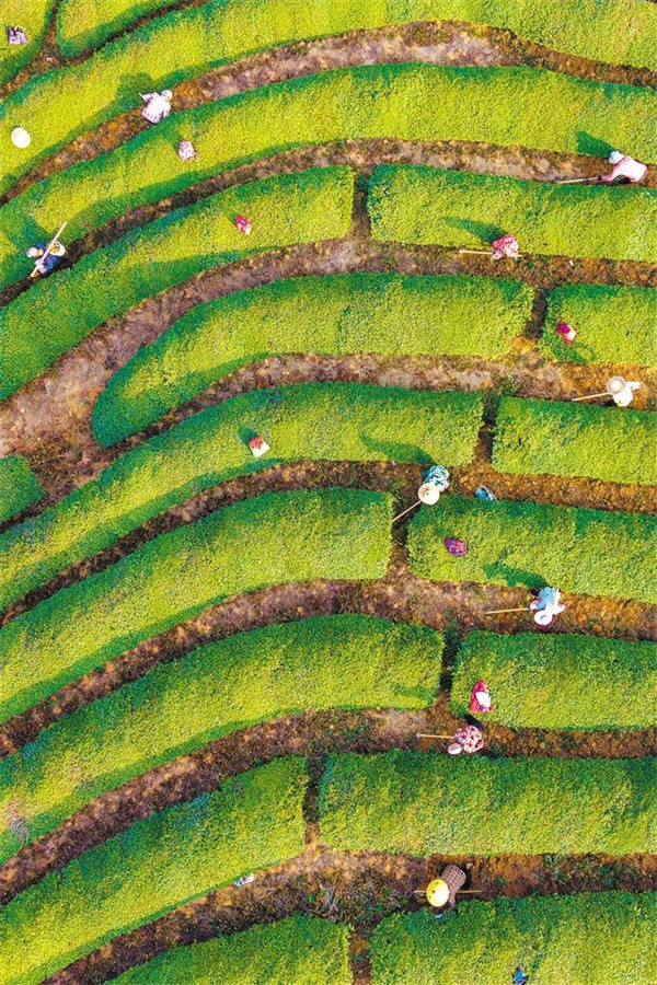 W020260130336989408800_ORIGIN