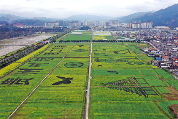 9c7e0b01-c72f-48b6-8628-e30f9221f1d8