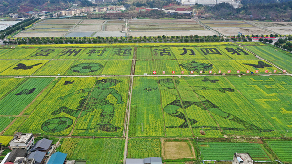 97fd3b8b-41b7-438e-abe7-e6ed7ed0c606