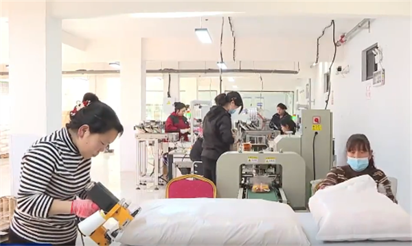 1772556736596126-1772556736654249