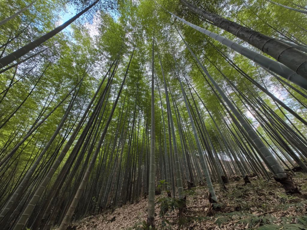 20260226fb37fbf4fcbc4be5866edac6698959b2_3a286c77781b4c9697169236c8d06c93