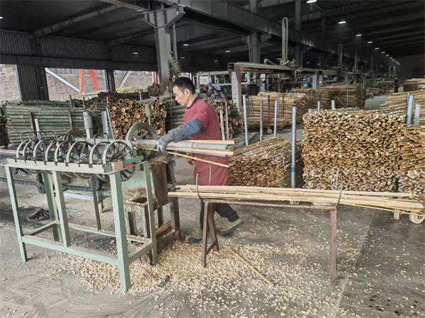 20260226fb37fbf4fcbc4be5866edac6698959b2_ebd1e442603944fb8eac18796e263551