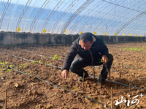 4f0425ebbc704109841a3879a56e6ffa~tplv-tt-origin-web_gif