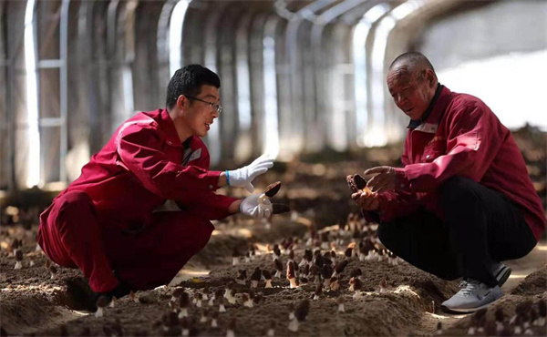 477506_906d09b6-bdde-4076-88ae-fb63c98f52d0copy