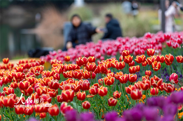 MAIN1772241336397C14PXERW2E