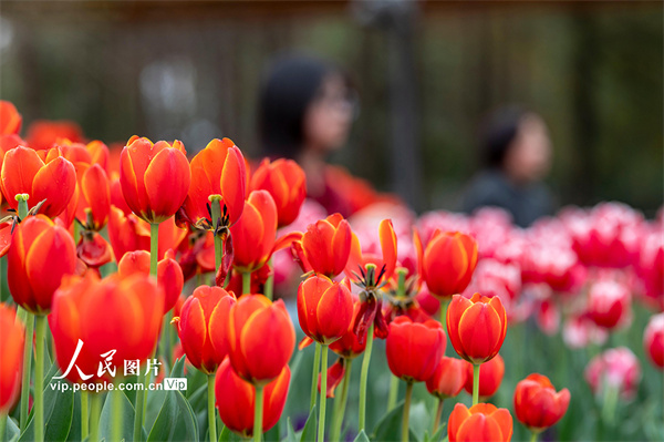 MAIN17722413364208QE6HHGGPV