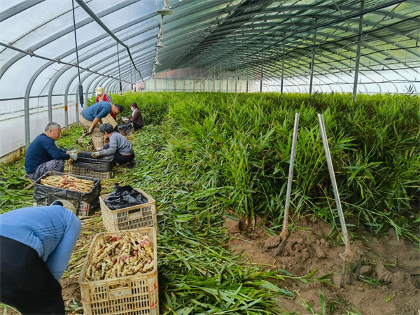 W020260226608901434283 (1)