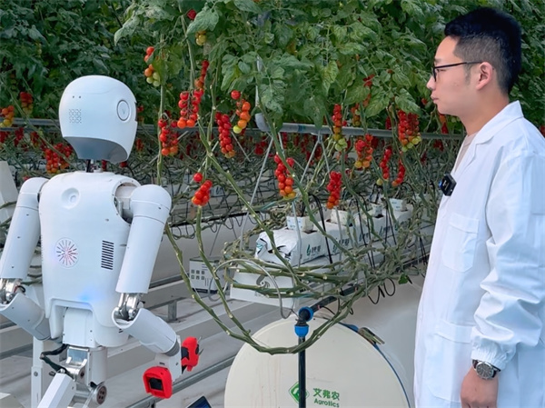 ddf5ba14-fe18-486f-9984-f020356662ab ddf5ba14-fe18-486f-9984-f020356662ab