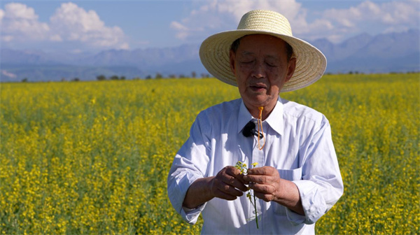 大地脊梁——油菜育种科学家 傅廷栋