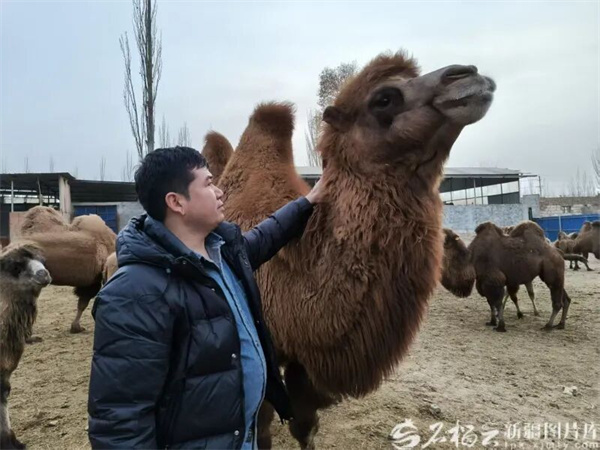 微信图片_2026-03-24_144523_822 微信图片_2026-03-24_144523_822