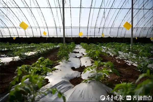 6a63f6246b600c33a0ada8bf69c23d1ed8f9a114(1) 6a63f6246b600c33a0ada8bf69c23d1ed8f9a114(1)