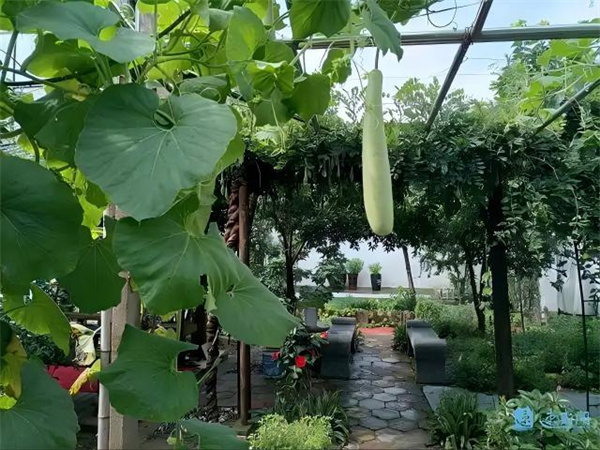 fcfaaf51f3deb48f093f50c02f7e50382cf578c9(1)