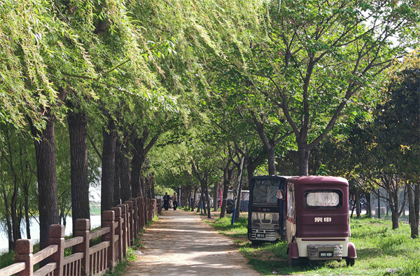 IMG_20260404_155038 IMG_20260404_155038