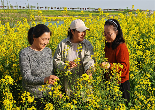 IMG_20260404_164010 IMG_20260404_164010